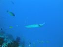 DSC00302.JPG