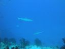 DSC00309.JPG
