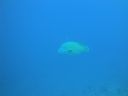DSC00321.JPG