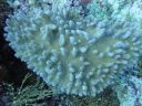 DSC00347.JPG