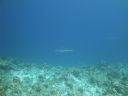 DSC00497.JPG