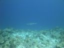 DSC00499.JPG