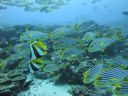 DSC00504.JPG
