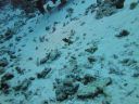DSC00505.JPG