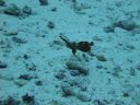 DSC00508.JPG