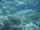 DSC00509.JPG