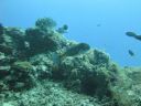 DSC00511.JPG