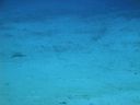DSC00512.JPG