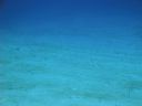 DSC00513.JPG