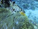 DSC00519.JPG