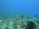 DSC00520.JPG