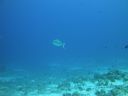 DSC00524.JPG