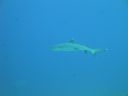 DSC00607.JPG