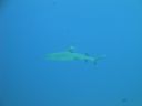 DSC00612.JPG