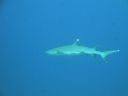 DSC00615.JPG