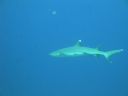 DSC00616.JPG