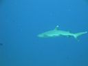 DSC00617.JPG