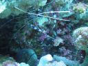DSC00620.JPG