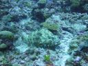 DSC00623.JPG