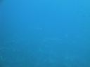DSC00626.JPG