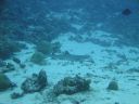 DSC00628.JPG