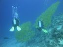DSC00632.JPG
