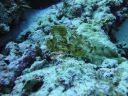 DSC00634.JPG