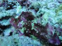 DSC00637.JPG