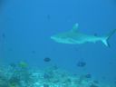 DSC00643.JPG