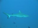 DSC00644.JPG