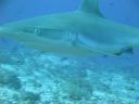 DSC00645.JPG