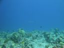 DSC00647.JPG