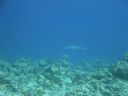 DSC00651.JPG
