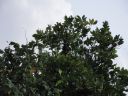 DSC00665.JPG