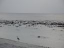 DSC00668.JPG