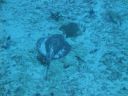 DSC00673.JPG