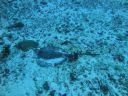 DSC00674.JPG