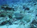 DSC00679.JPG