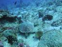 DSC00680.JPG