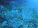 DSC00682.JPG