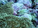 DSC00683.JPG
