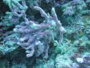 DSC00688.JPG