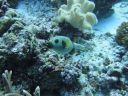 DSC00689.JPG