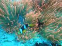 DSC00723.JPG