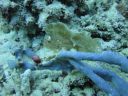 DSC00724.JPG