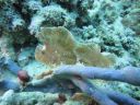 DSC00725.JPG