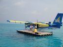 DSC00768.JPG