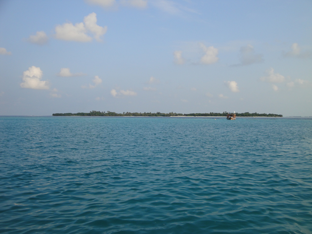 DSC00033.JPG