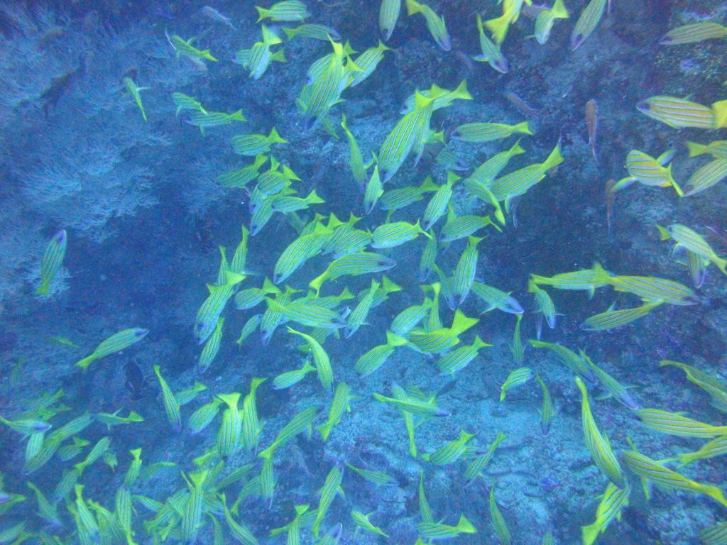 DSC00039.JPG