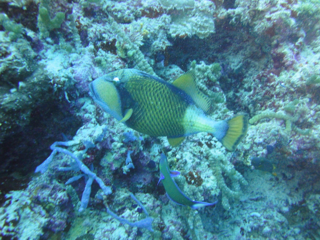 DSC00075.JPG